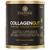 Collagen Gut